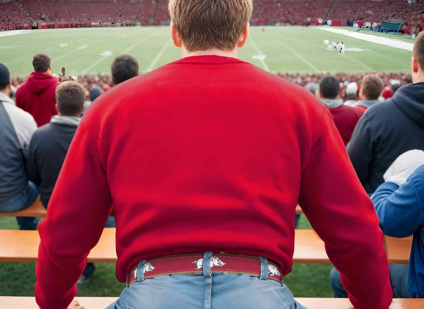 Arkansas Razorbacks Men's Collegiate Woven Ribbon Belt