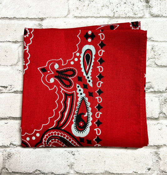 Hand Stitched Embroidered Font (Lowercase) Custom Bandanas