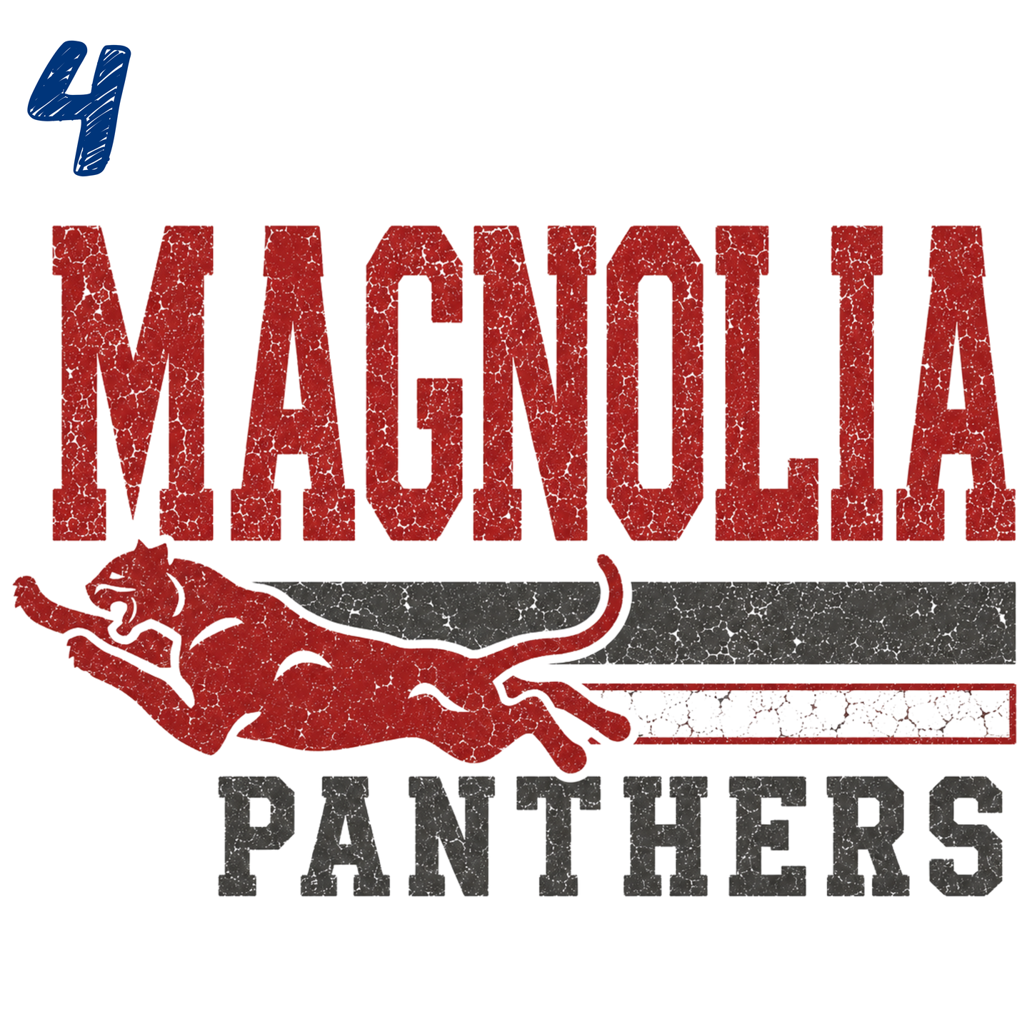Panthers Spirit Shirts