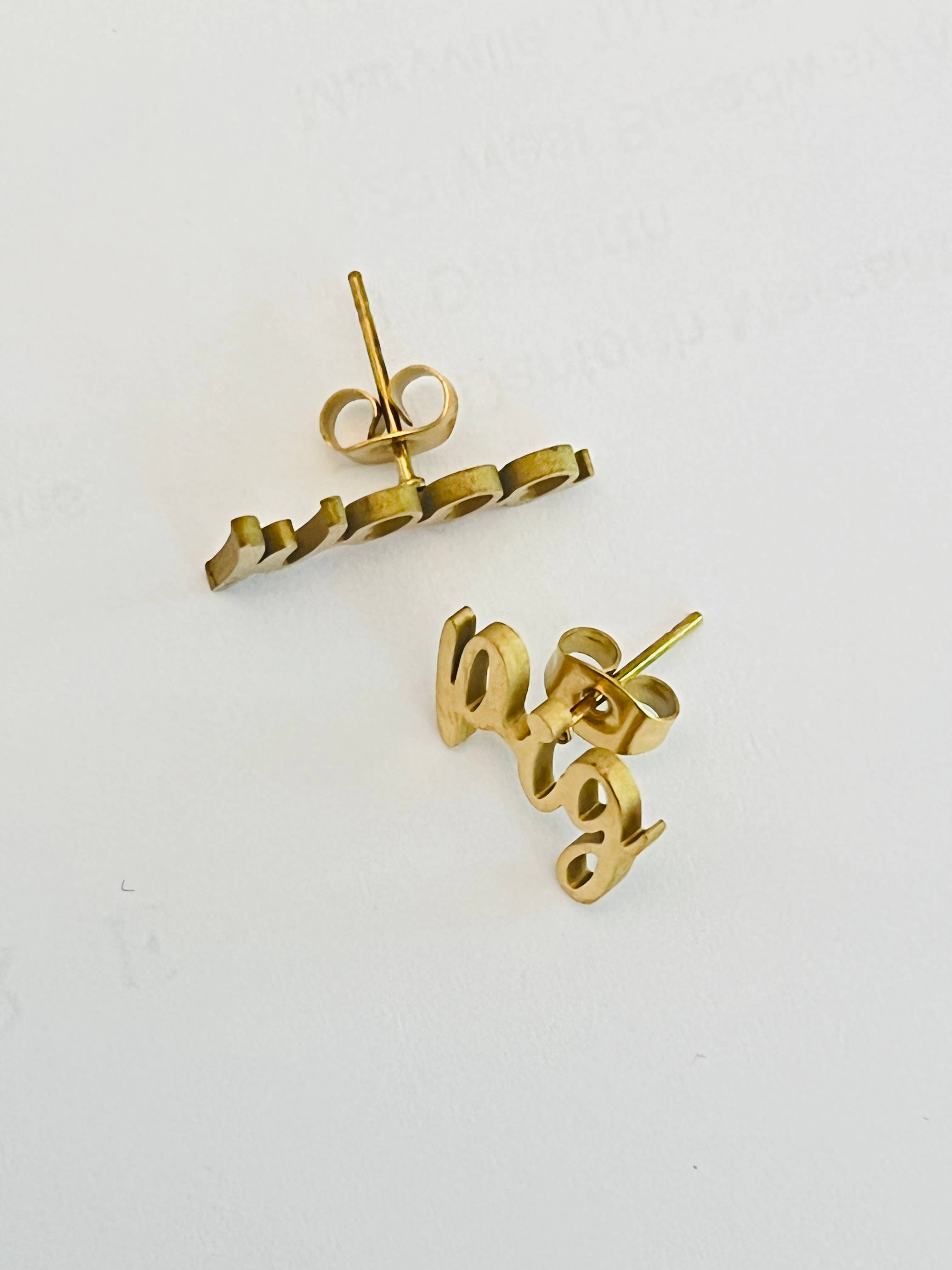 WOOO Pig! Wooo Pig Earrings Cute Arkansas Gift Razorbacks